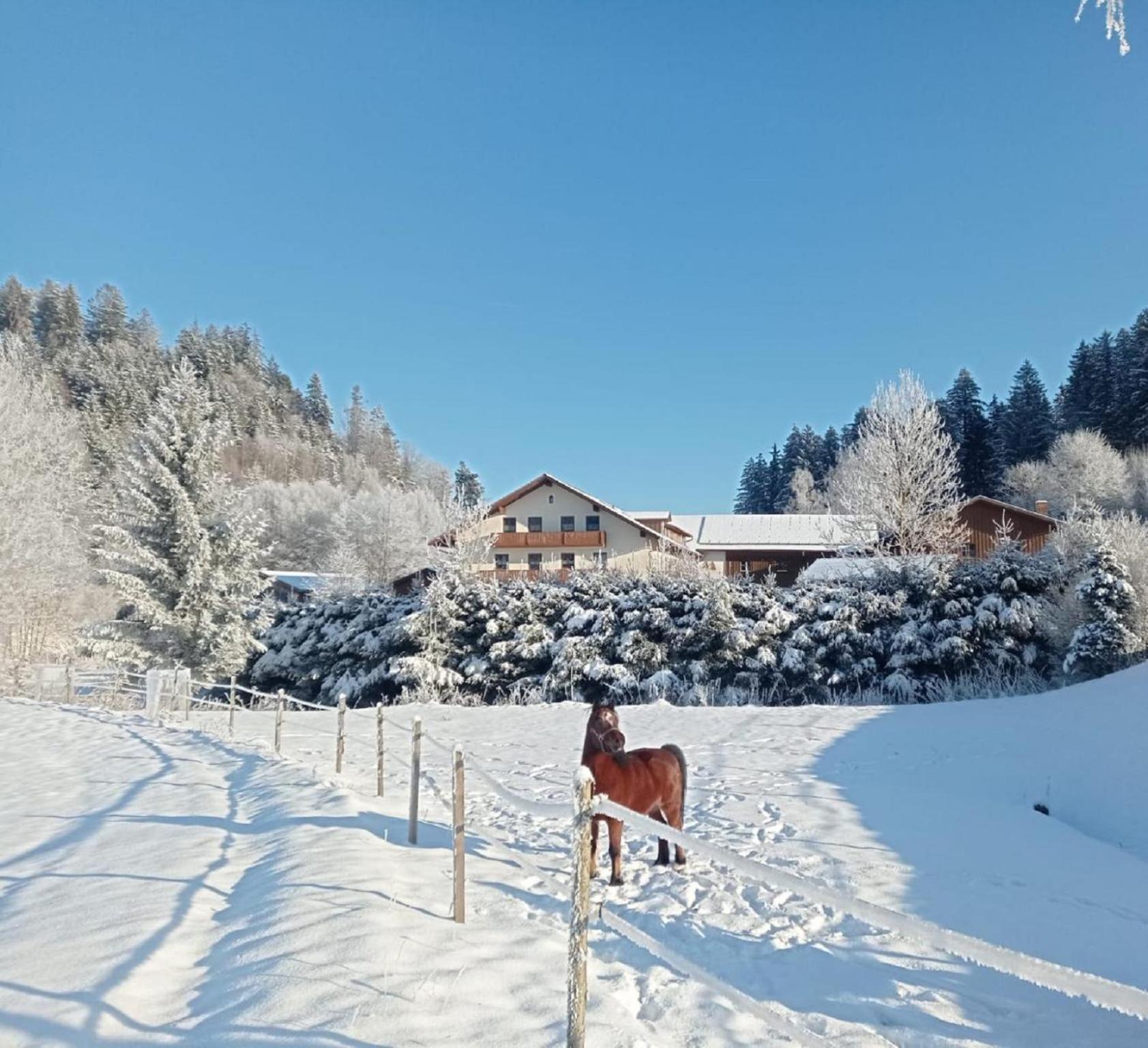 Гостевой дом Ferienbauernhof Mehlbach Kollnburg Экстерьер фото
