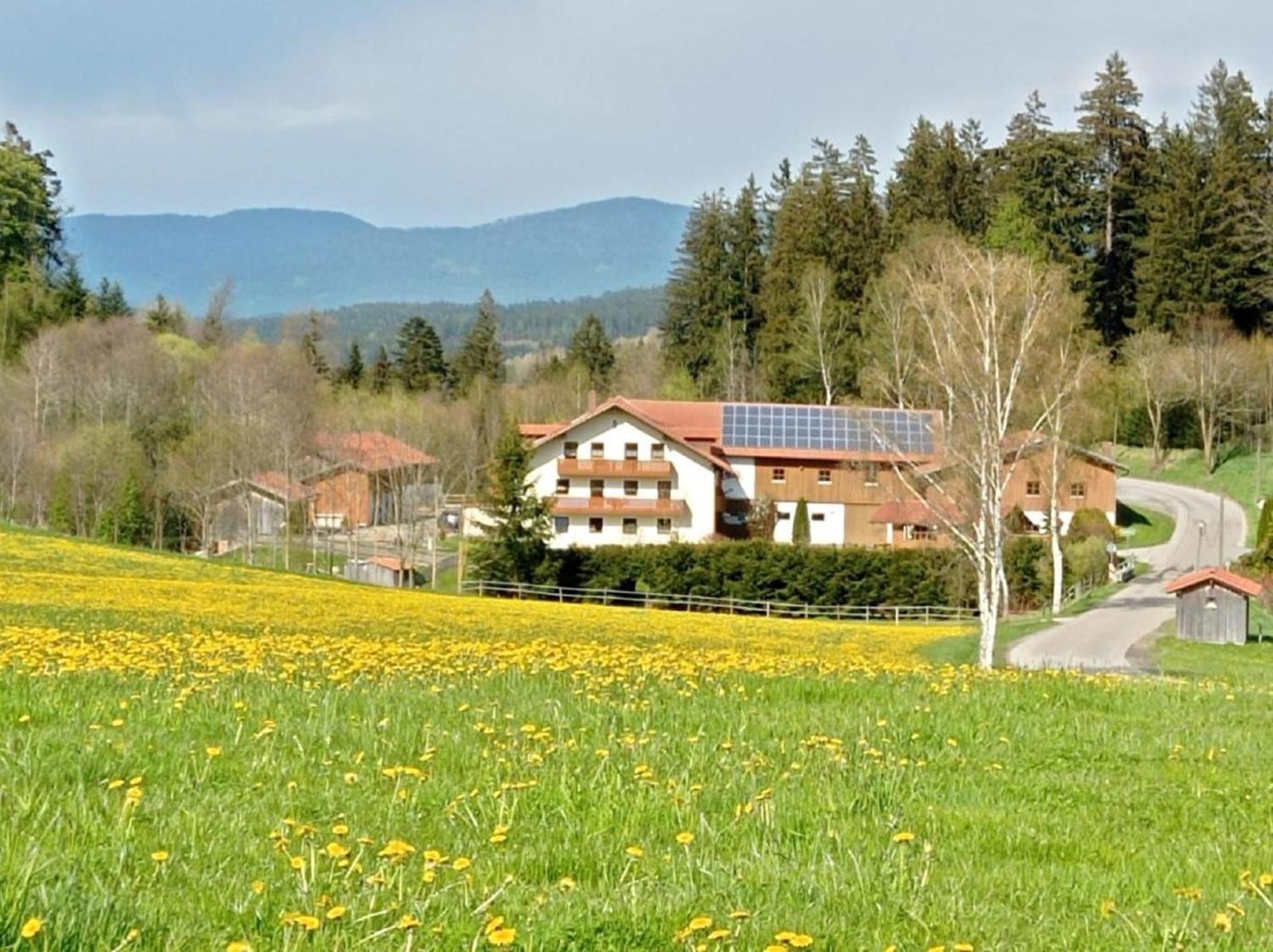 Гостевой дом Ferienbauernhof Mehlbach Kollnburg Экстерьер фото